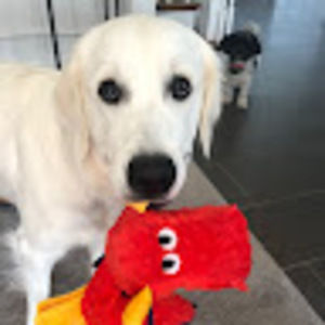 Meet your Posher, Mindy